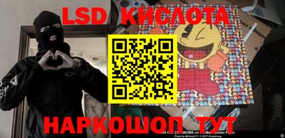 spice Новодвинск