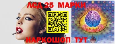 spice Новодвинск