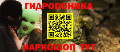 spice Новодвинск