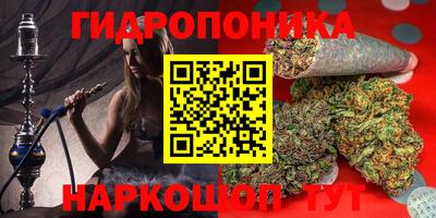 гидра Новокубанск