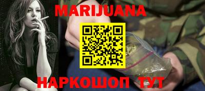 spice Новодвинск