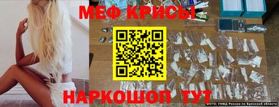 spice Новодвинск