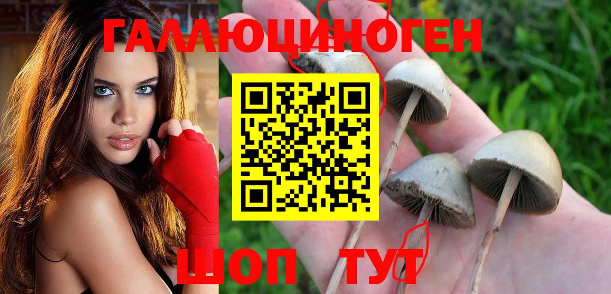 Галлюциногенные грибы прущие грибы  Галлюциногенные грибы ЛСД  Вход с VPN  Шебекино 