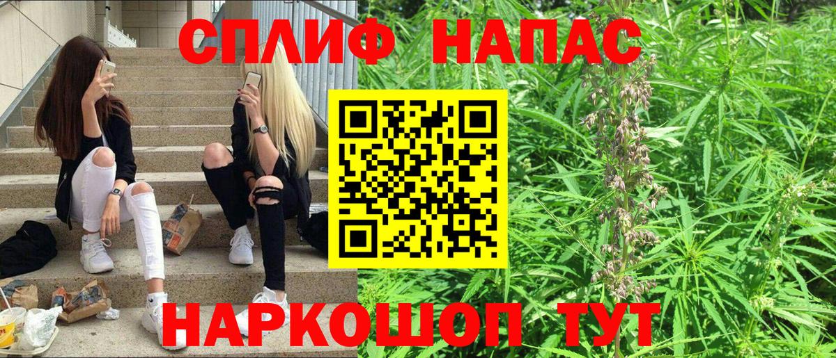 Каннабис White Widow Шебекино